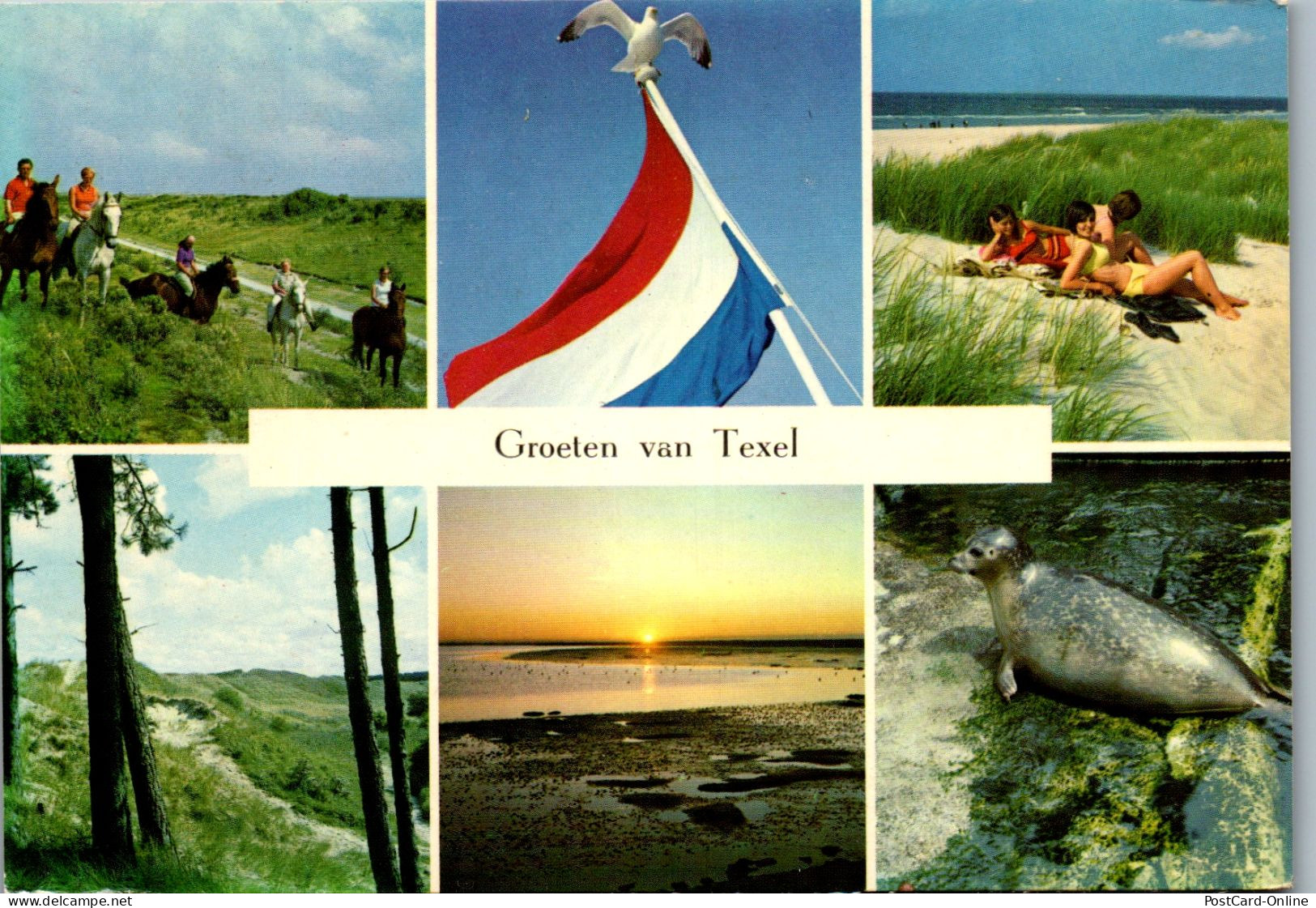 50994 - Niederlande - Texel , Mehrbildkarte - Gelaufen 1969 - Texel