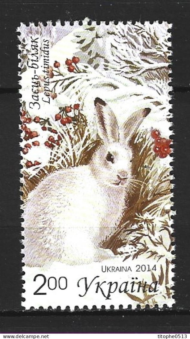 UKRAINE. Timbre Issu Du BF 114 De 2014. Lapin. - Conejos