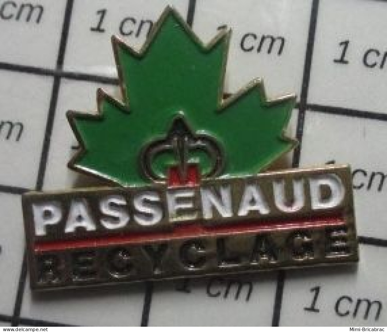 3517 Pin's Pins / Beau Et Rare / MARQUES / FEUILLE D'ERABLE PASSENAUD RECYCLAGE - Markennamen