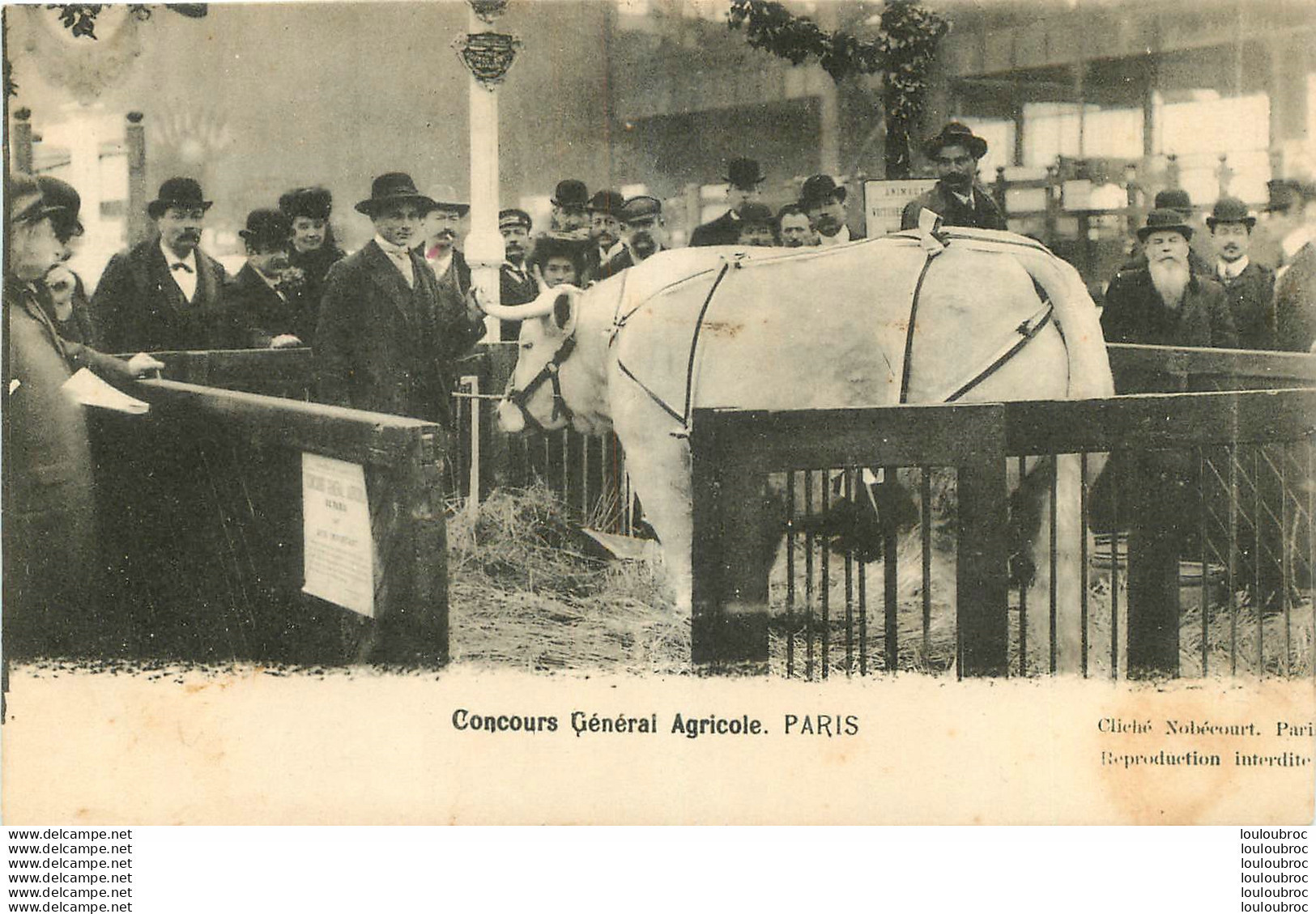 PARIS CONCOURS GENERALE AGRICOLE - Expositions