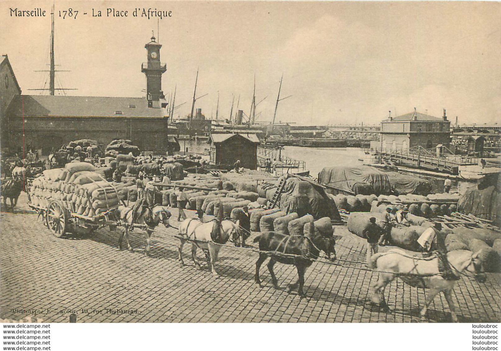 MARSEILLE LA PLACE D'AFRIQUE ATTELAGE DE CHEVAUX DECHARGEMENT - Non Classés