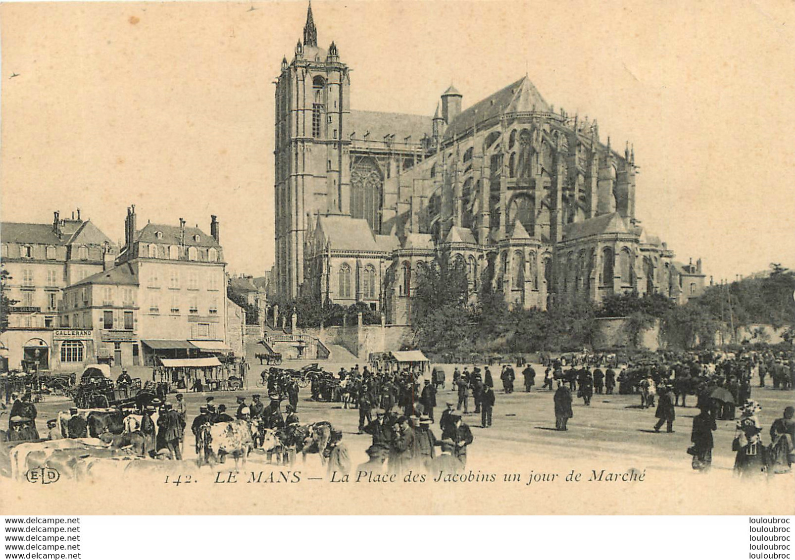 LE MANS LA PLACE DES JACOBINS UN JOUR DE MARCHE - Le Mans