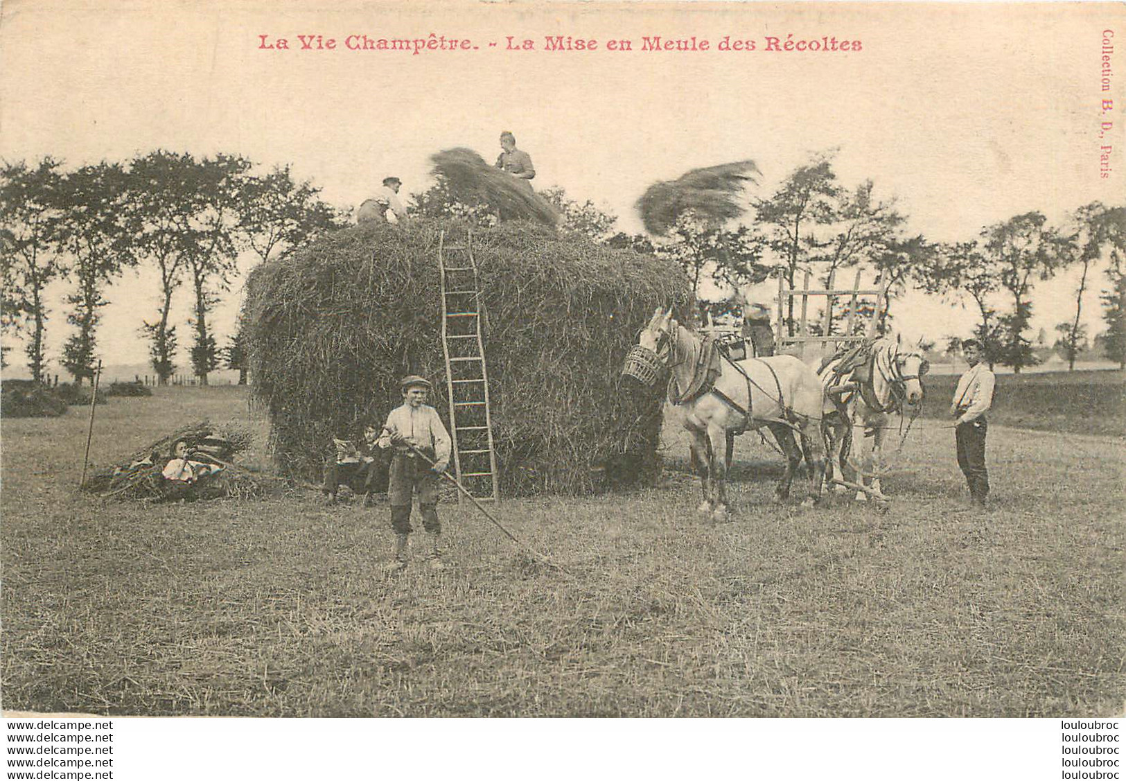 LA MISE EN MEULE DES RECOLTES LA VIE CHAMPETRE - Landbouw