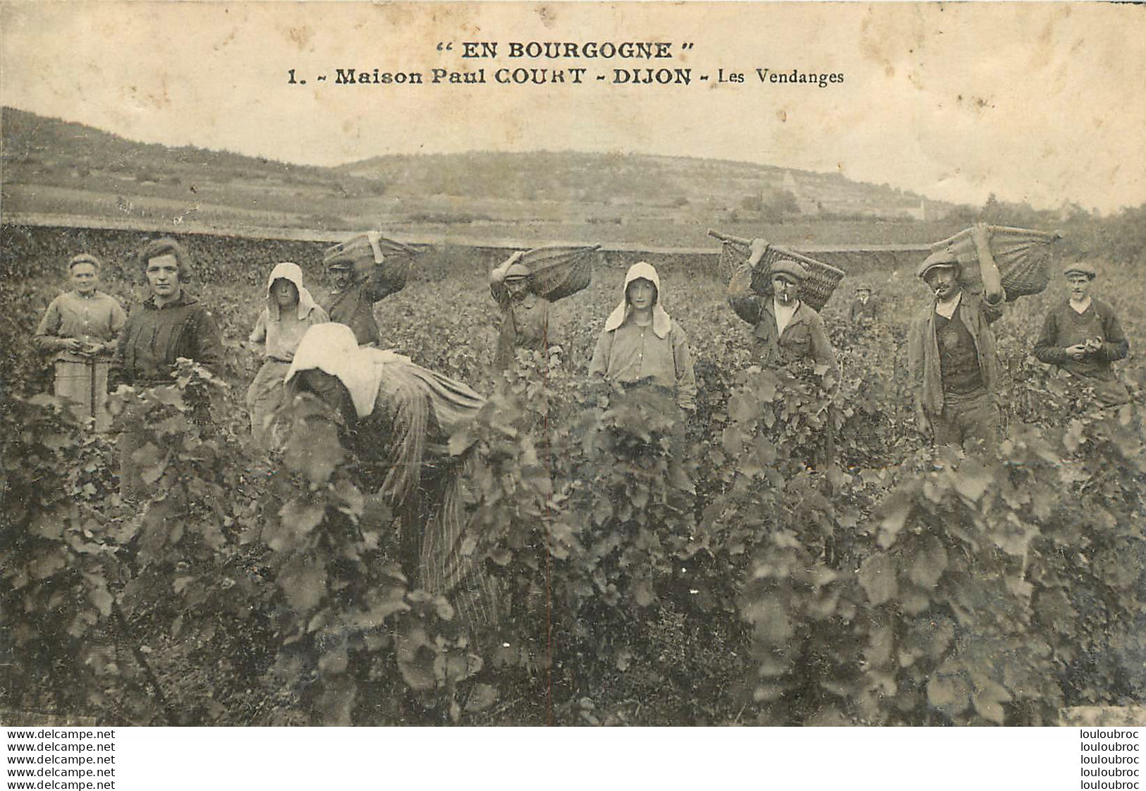 DIJON MAISON PAUL COURT EN BOURGOGNE LES VENDANGES  VIGNE VIGNOBLE - Dijon