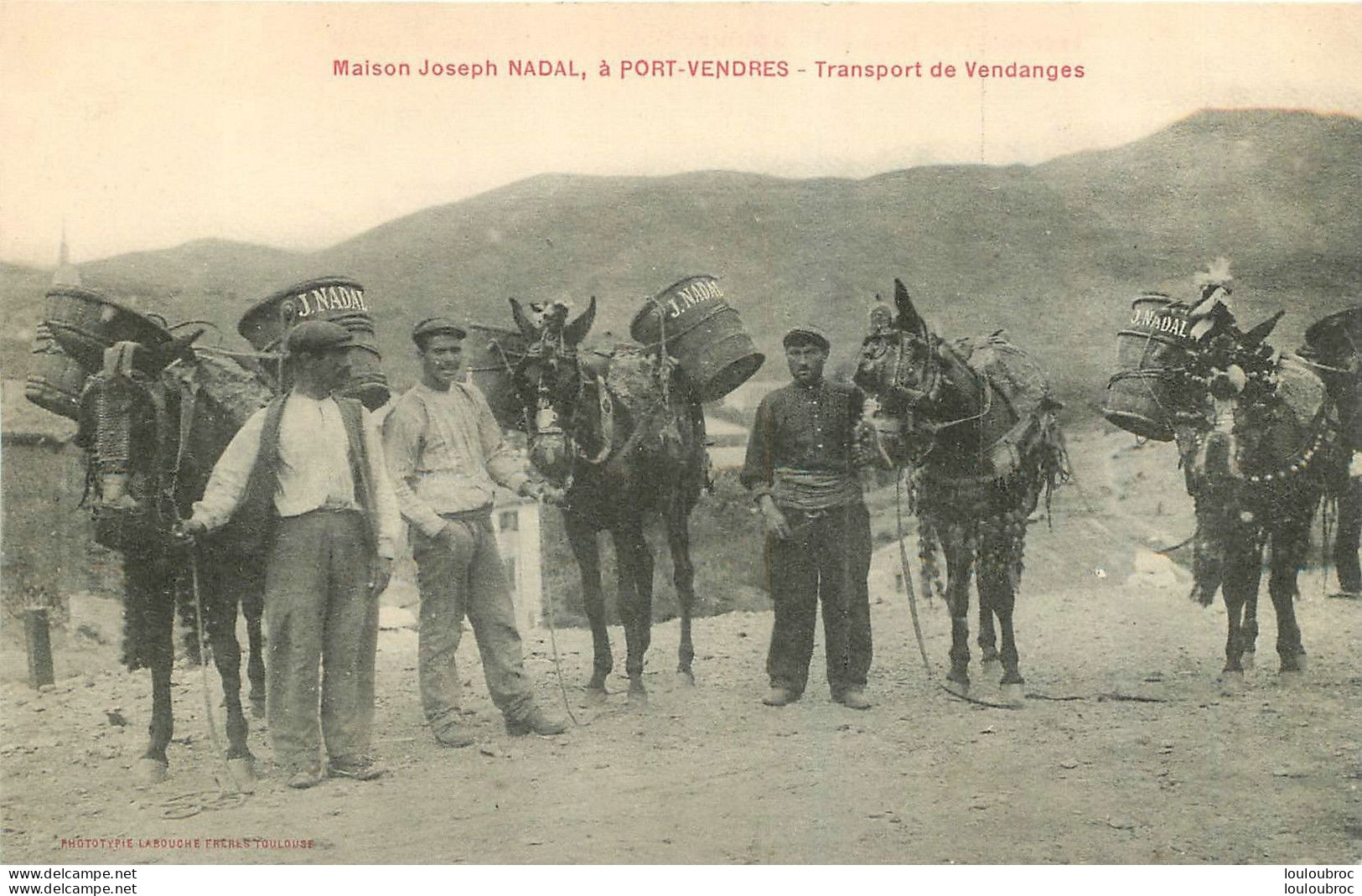 PORT VENDRES MAISON JOSEPH NADAL TRANSPORT DE VENDANGES R1 - Port Vendres