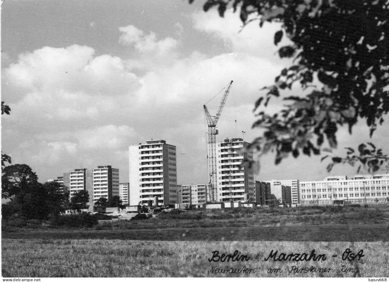 BRD- Berlin: 12 679 Berlin- Marzahn Ost, Fotokarte - Autres & Non Classés