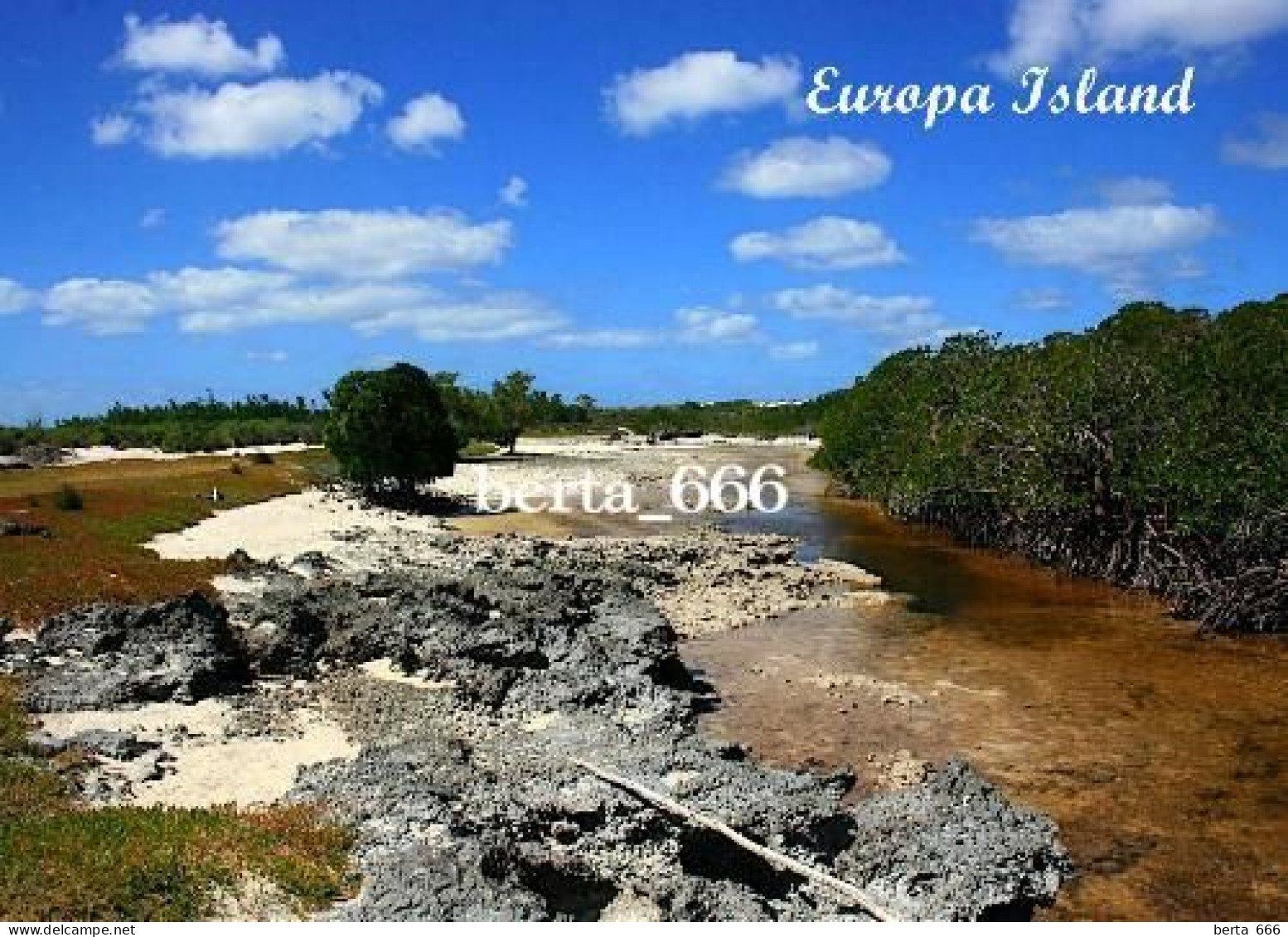 Scattered Islands Europa Island Iles Eparses New Postcard - TAAF : Franse Zuidpoolgewesten