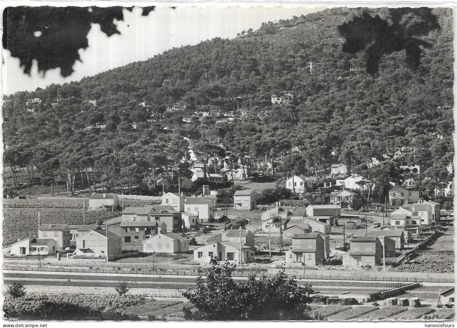 D 83.  CARQUEIRANNE.  LE PARADIS ET LA PINEDE - Carqueiranne