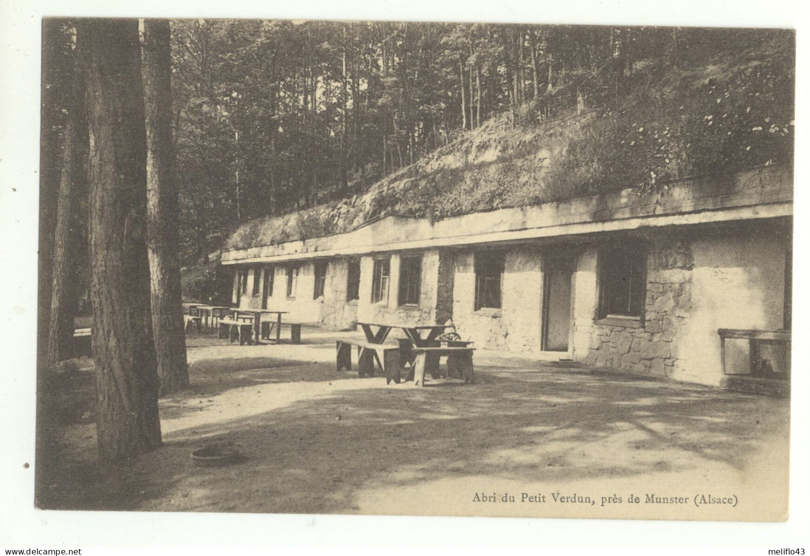 68/ CPA - Abri Du Petit Verdun Près De Munster - Munster