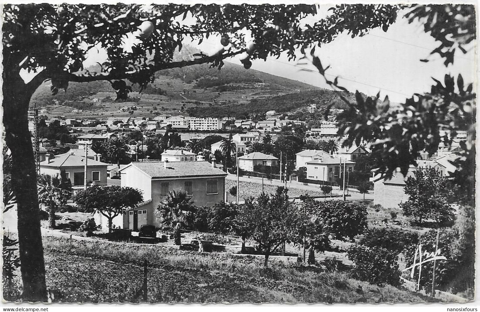 D 83.  CARQUEIRANNE.  VUE GENERALE - Carqueiranne