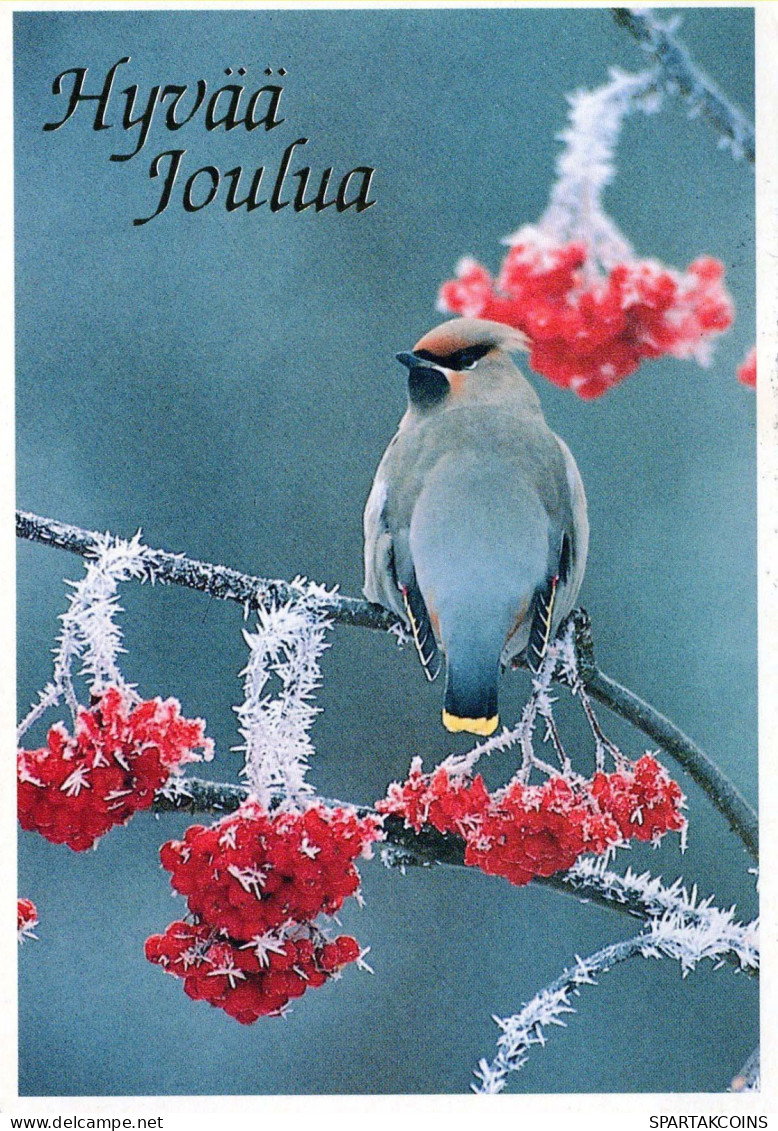 Bonne Année Noël OISEAU Vintage Carte Postale CPSM #PAW416.A - Nouvel An