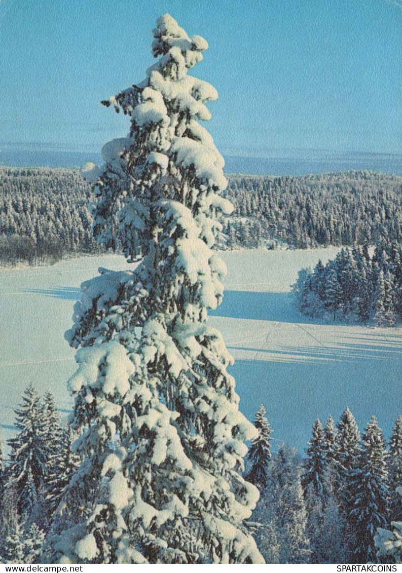 Happy New Year Christmas Vintage Postcard CPSM #PAT820.A - Neujahr