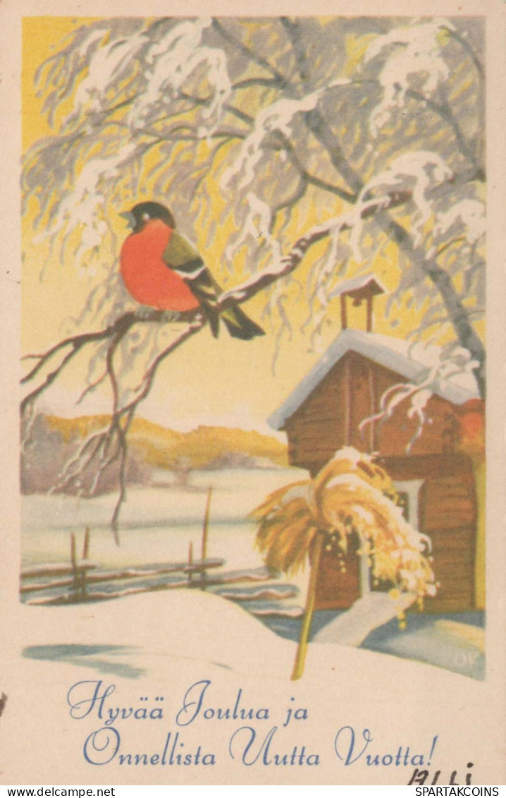 Neujahr Weihnachten VOGEL Vintage Ansichtskarte Postkarte CPSMPF #PKD334.A - Neujahr