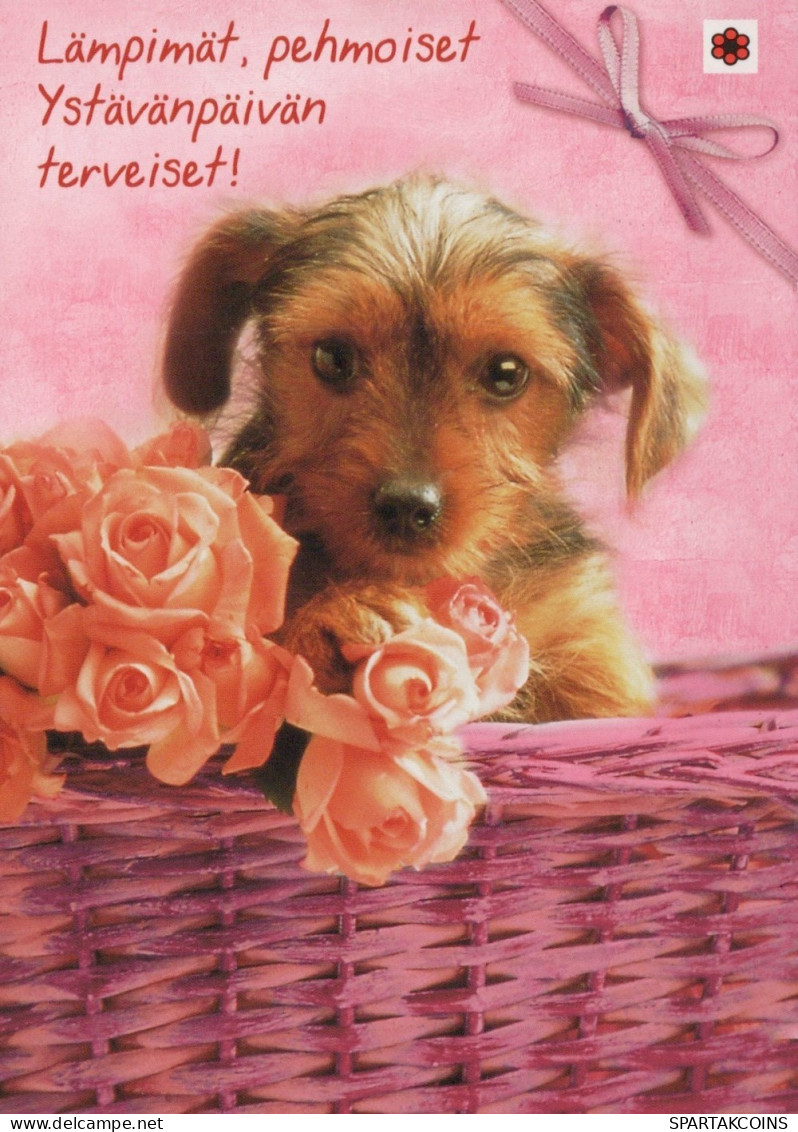 DOG Animals Vintage Postcard CPSM #PAN777.A - Chiens
