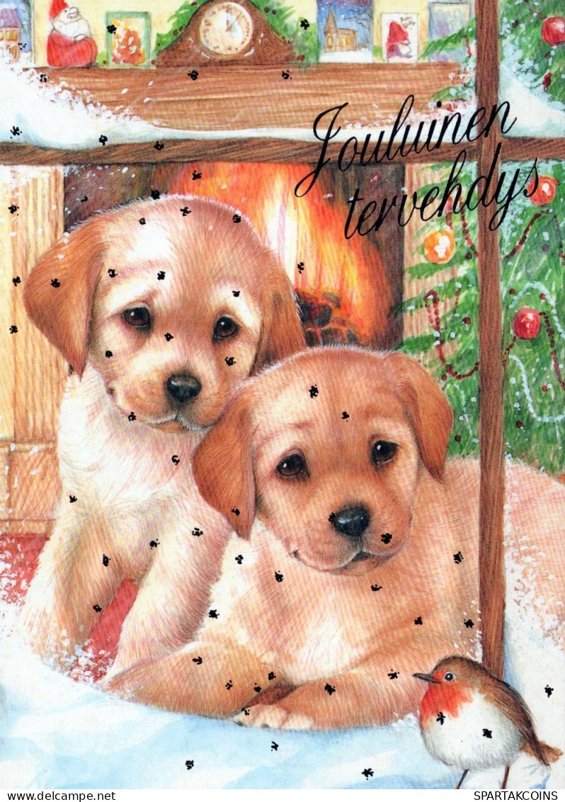 CANE Animale Vintage Cartolina CPSM #PAN589.A - Chiens