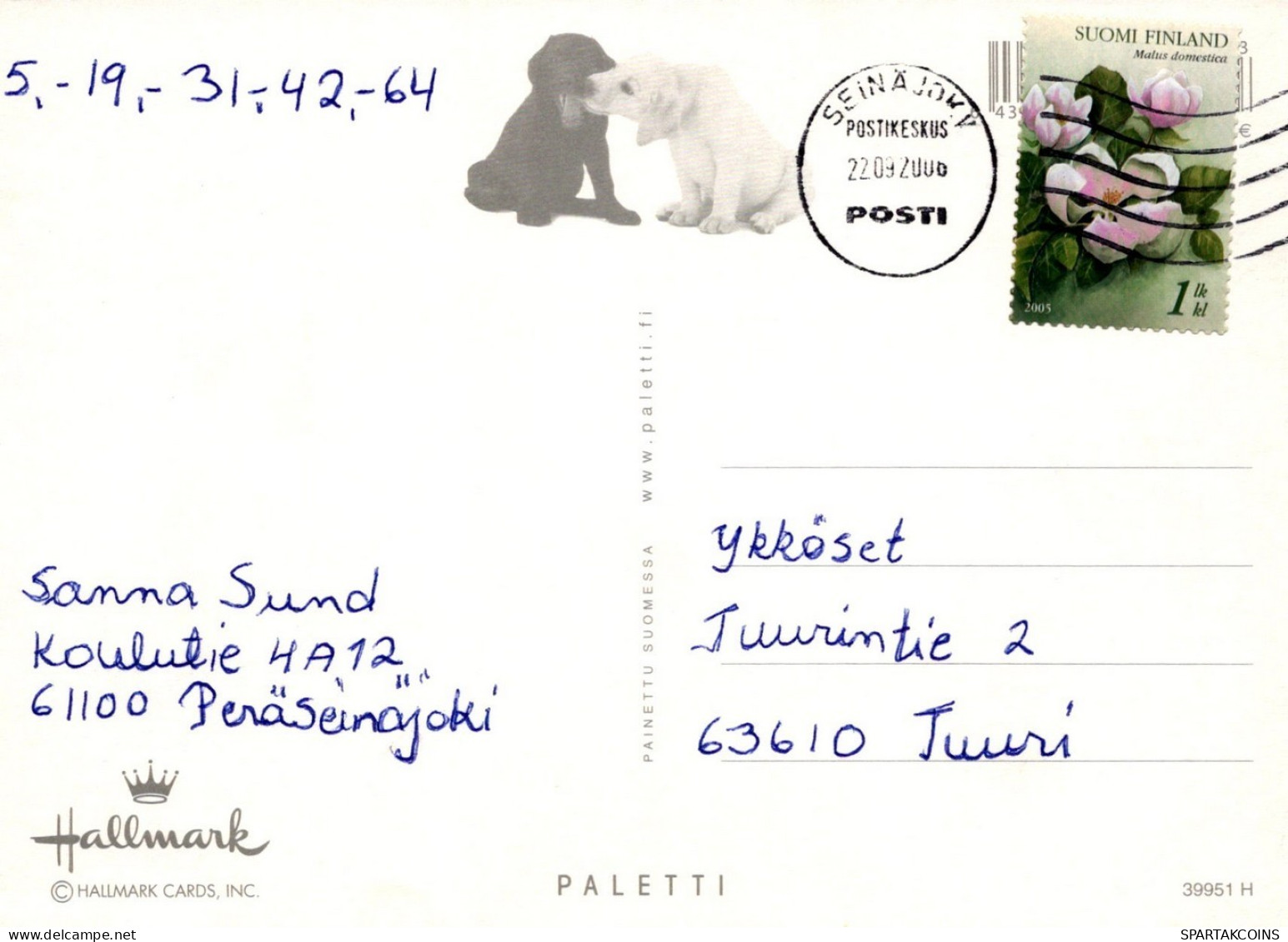 DOG Animals Vintage Postcard CPSM #PAN422.A - Chiens