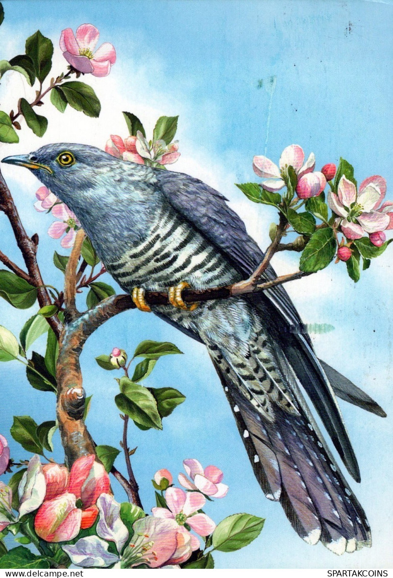 UCCELLO Animale Vintage Cartolina CPSM #PAN414.A - Birds