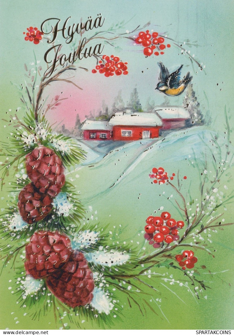 OISEAU Animaux Vintage Carte Postale CPSM #PAN030.A - Vögel