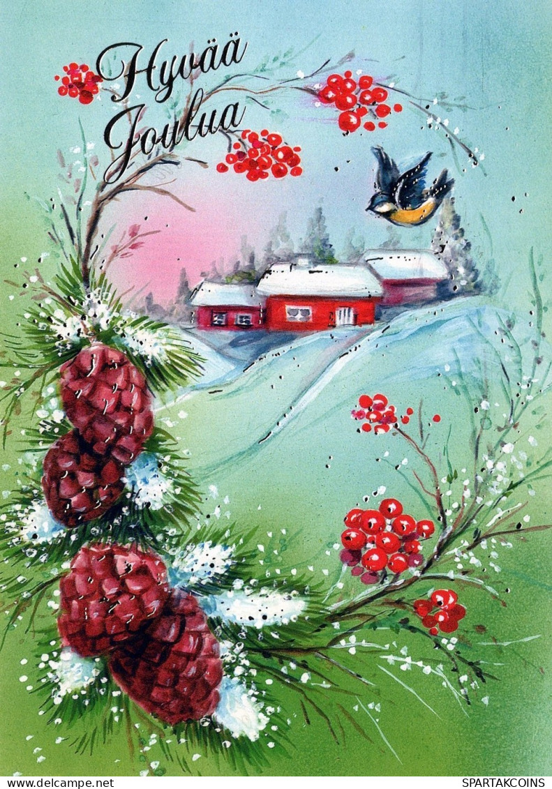 OISEAU Animaux Vintage Carte Postale CPSM #PAN030.A - Vögel