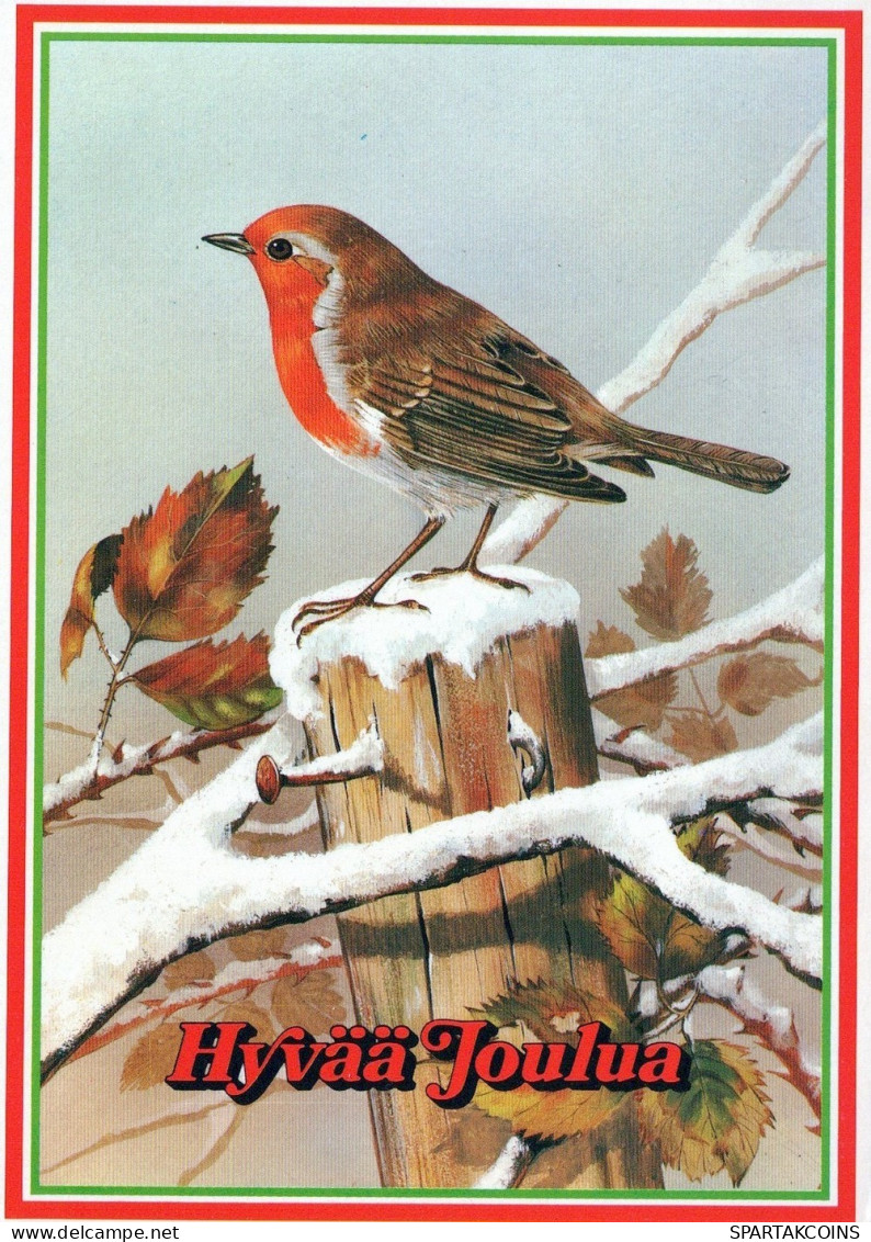 PÁJARO Animales Vintage Tarjeta Postal CPSM #PAN018.A - Pájaros