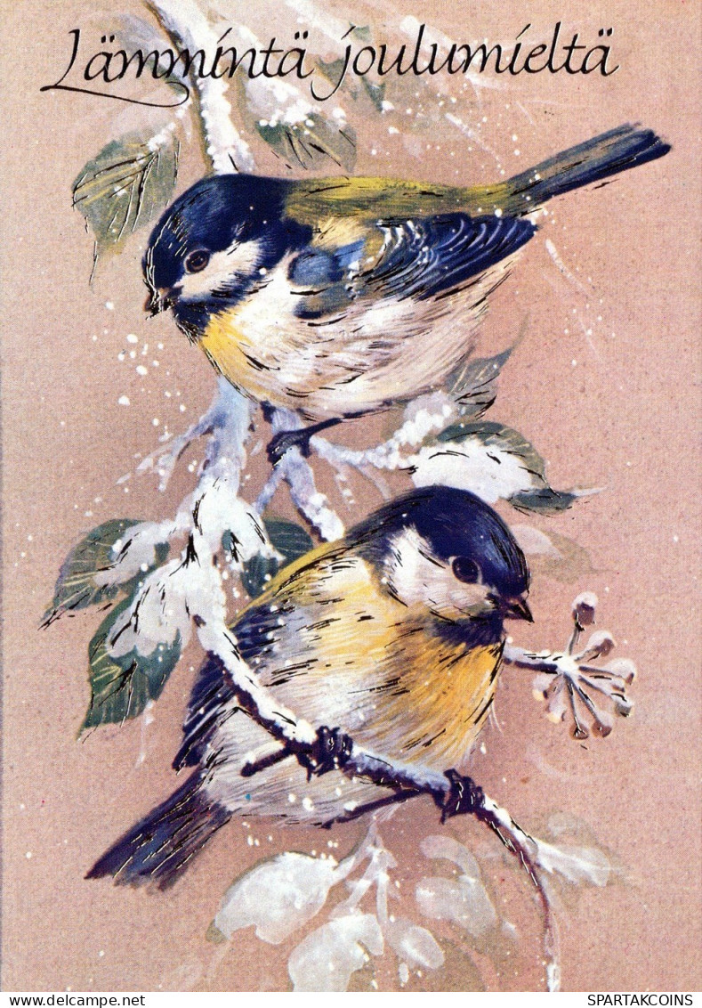 PÁJARO Animales Vintage Tarjeta Postal CPSM #PAM962.A - Birds