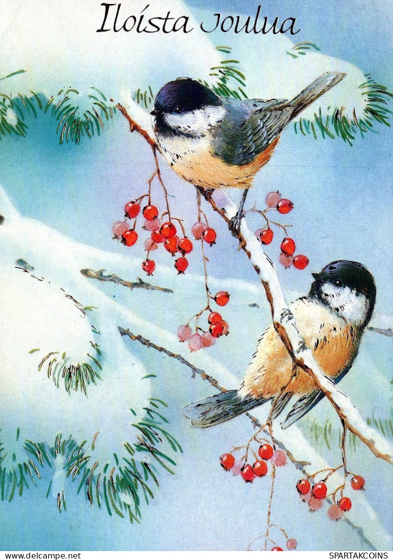 VOGEL Tier Vintage Ansichtskarte Postkarte CPSM #PAM965.A - Pájaros