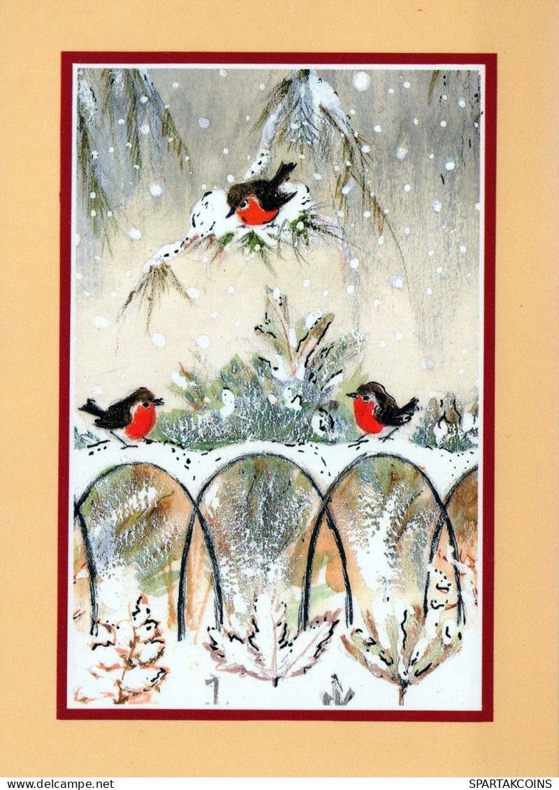OISEAU Animaux Vintage Carte Postale CPSM #PAM909.A - Pájaros