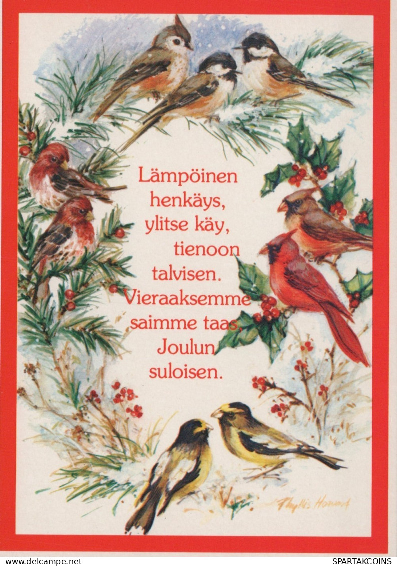 PÁJARO Animales Vintage Tarjeta Postal CPSM #PAM817.A - Birds