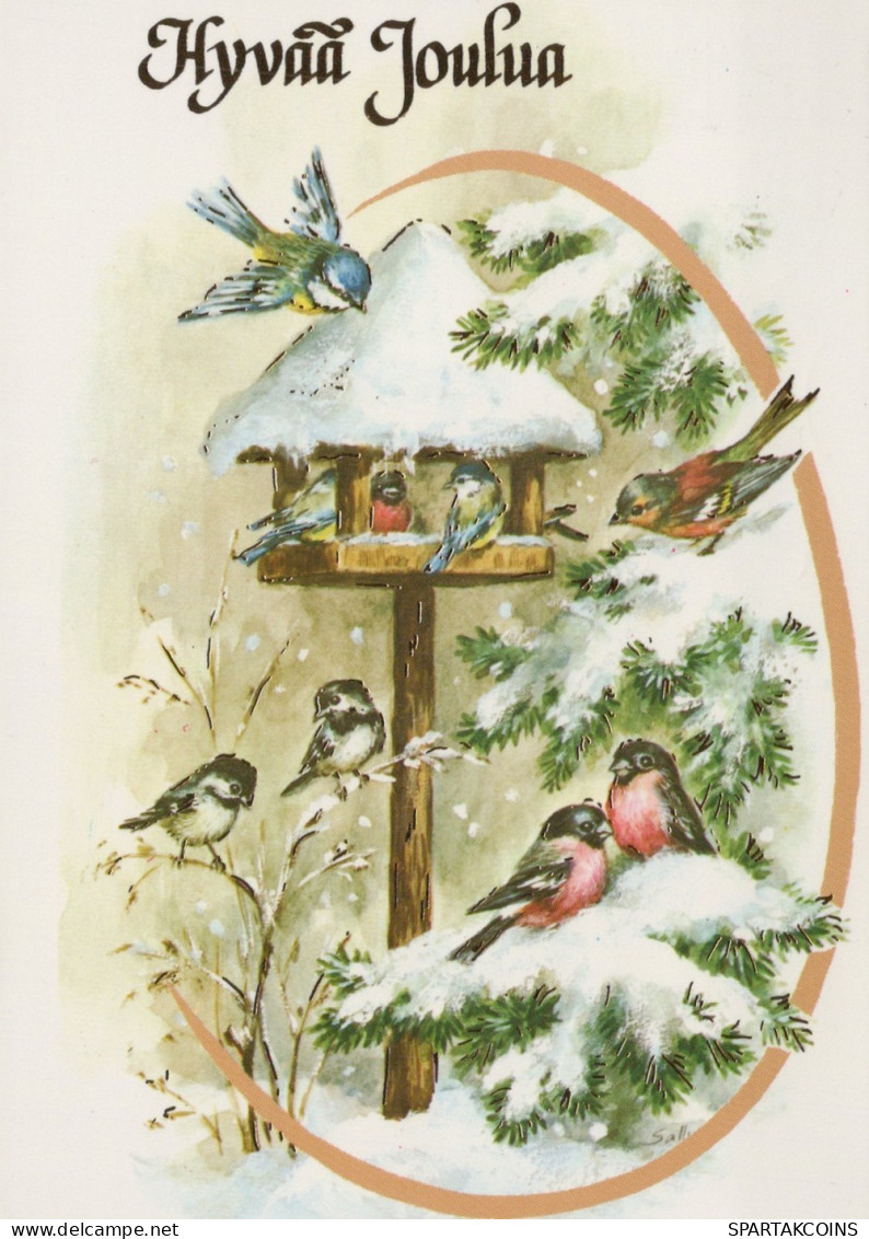 BIRD Animals Vintage Postcard CPSM #PAM761.A - Birds