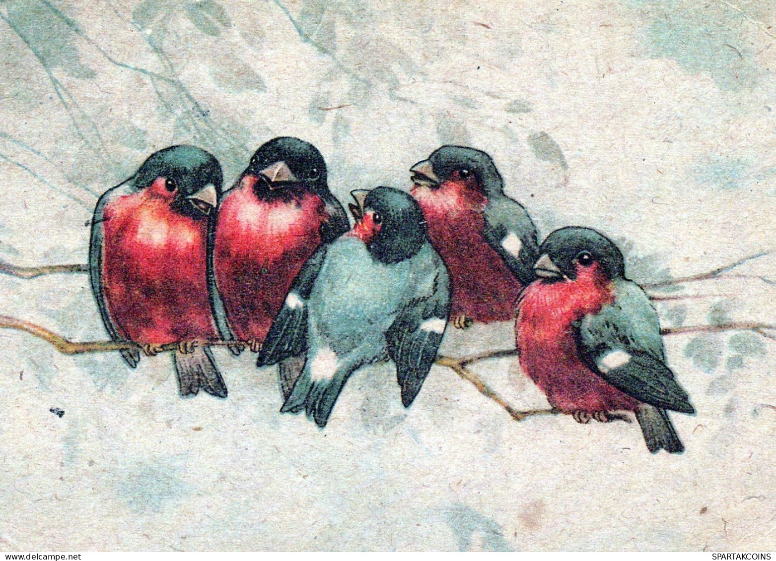 OISEAU Animaux Vintage Carte Postale CPSM #PAM749.A - Birds