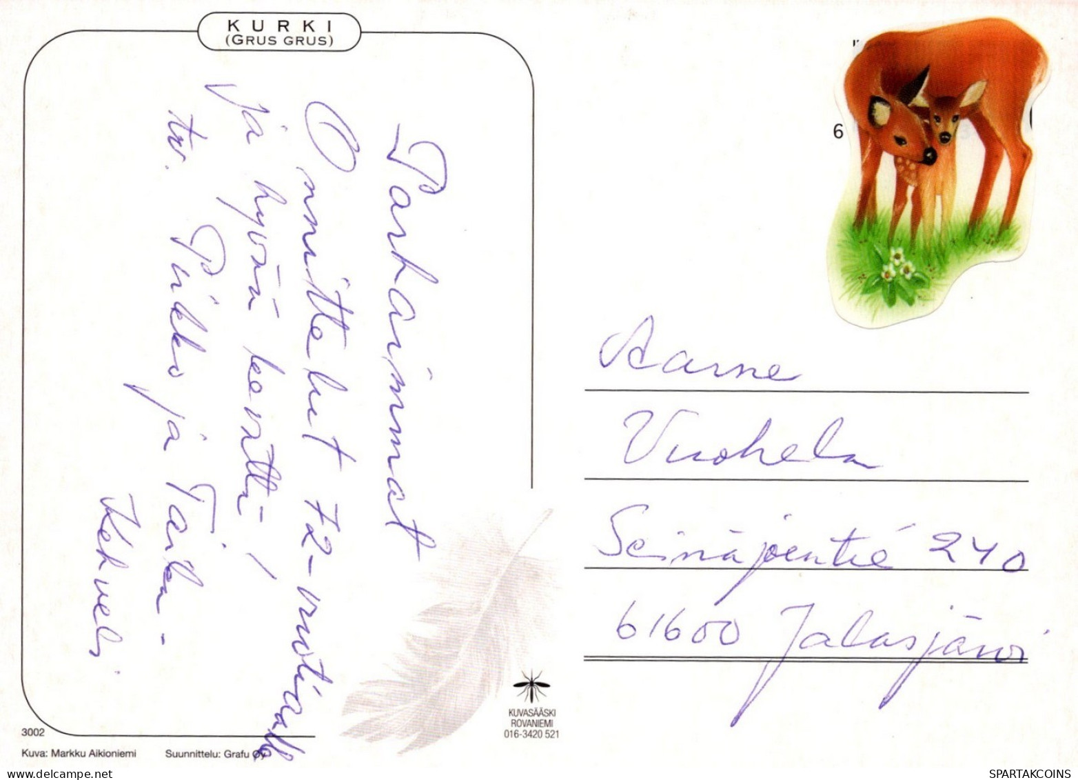 VOGEL Tier Vintage Ansichtskarte Postkarte CPSM #PAM700.A - Birds