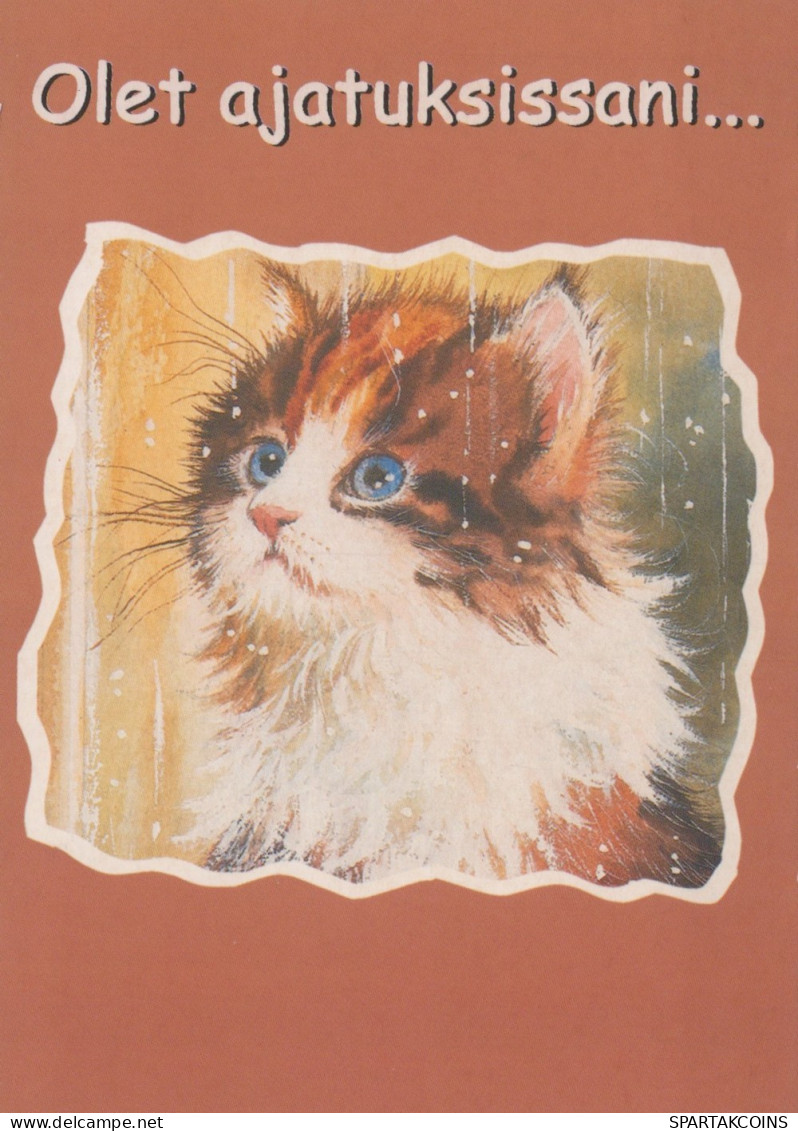 KATZE MIEZEKATZE Tier Vintage Ansichtskarte Postkarte CPSM #PAM640.A - Chats
