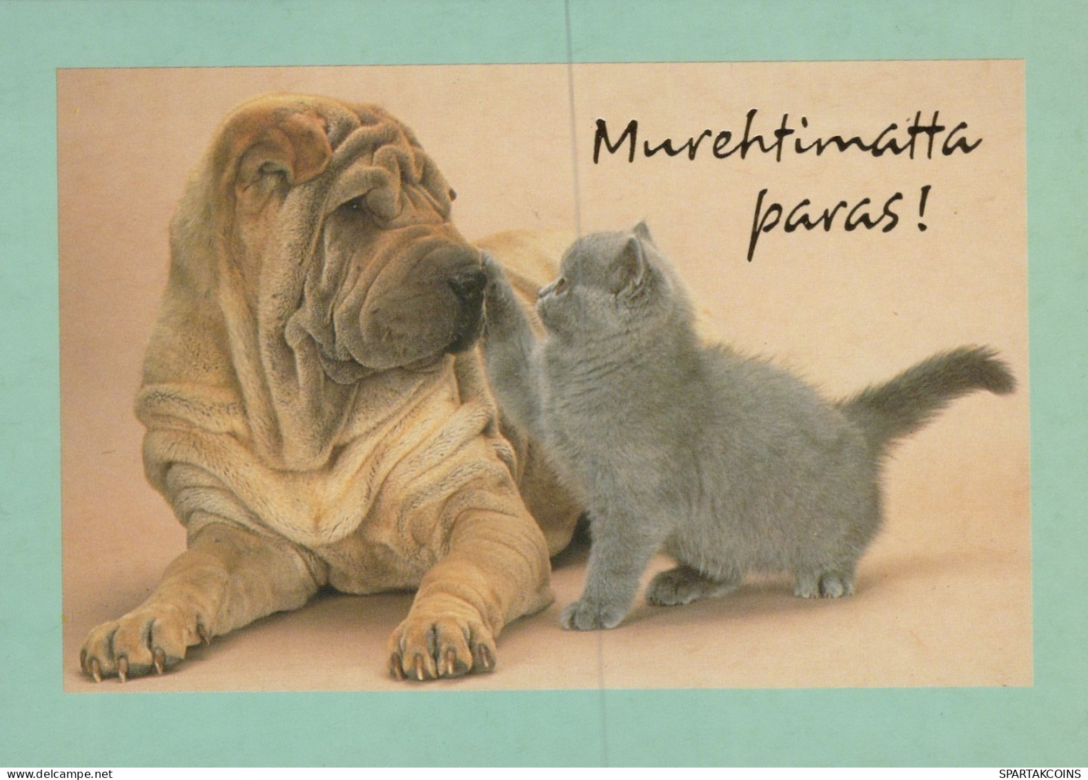 CHAT CHAT Animaux Vintage Carte Postale CPSM #PAM394.A - Cats