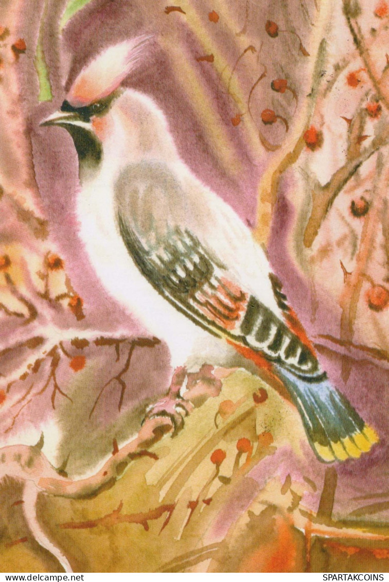 VOGEL Tier Vintage Ansichtskarte Postkarte CPSM #PBR373.A - Pájaros