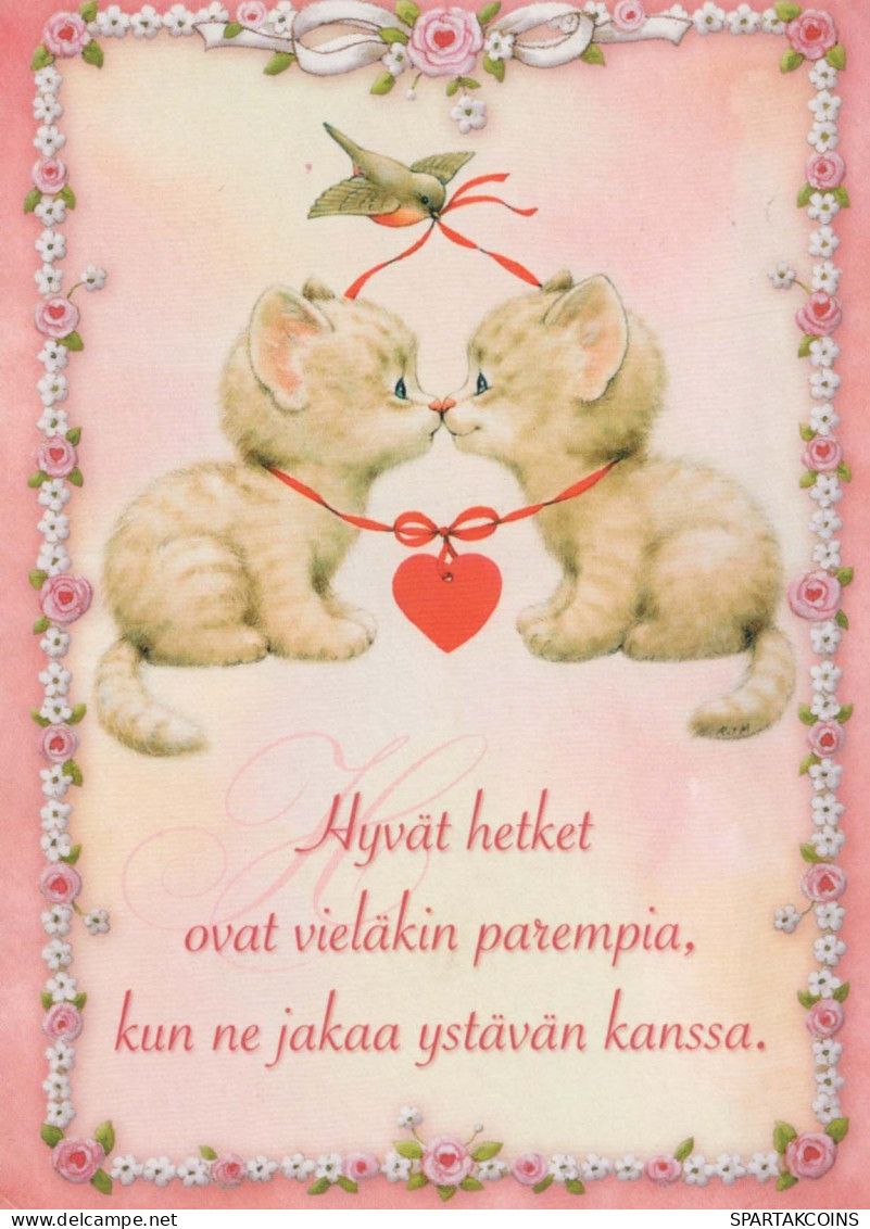 GATTO KITTY Animale Vintage Cartolina CPSM #PBQ980.A - Gatos