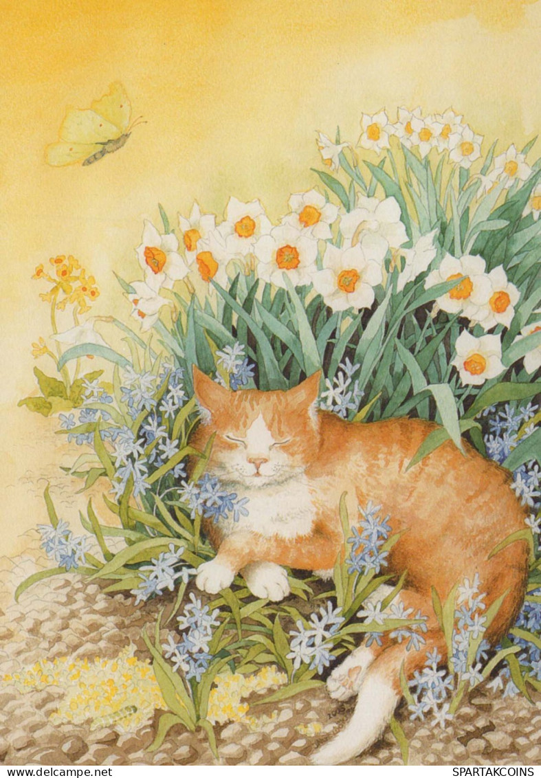 CAT KITTY Animals Vintage Postcard CPSM #PBR004.A - Gatos