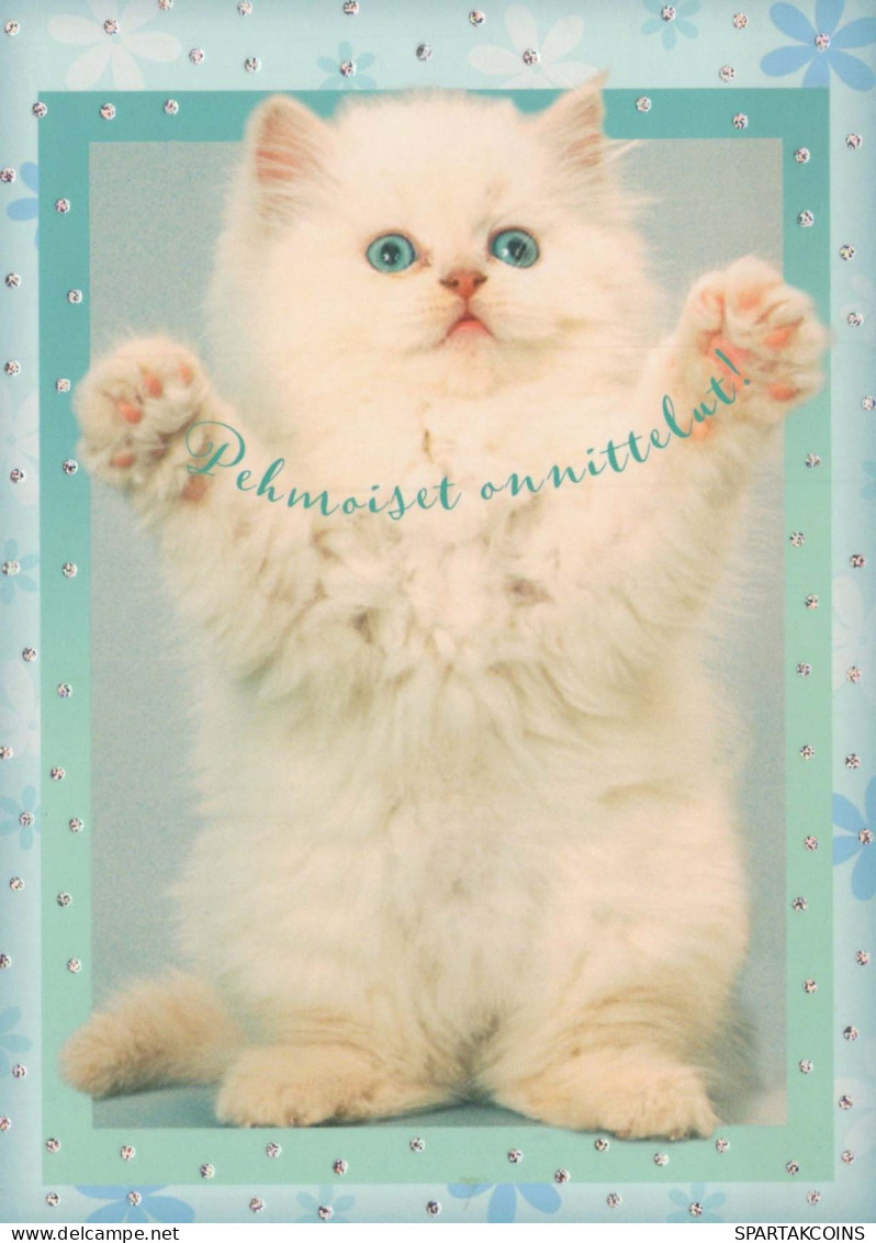 CAT KITTY Animals Vintage Postcard CPSM #PBQ918.A - Gatos