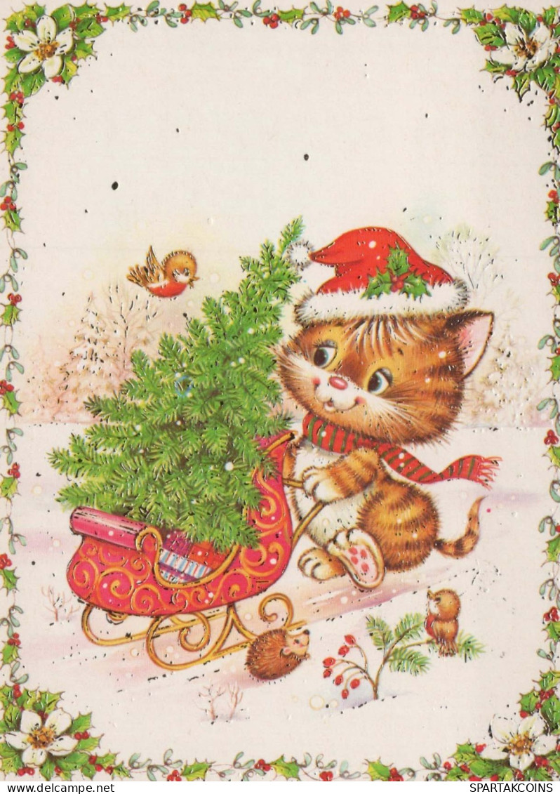 KATZE MIEZEKATZE Tier Vintage Ansichtskarte Postkarte CPSM #PBQ787.A - Cats