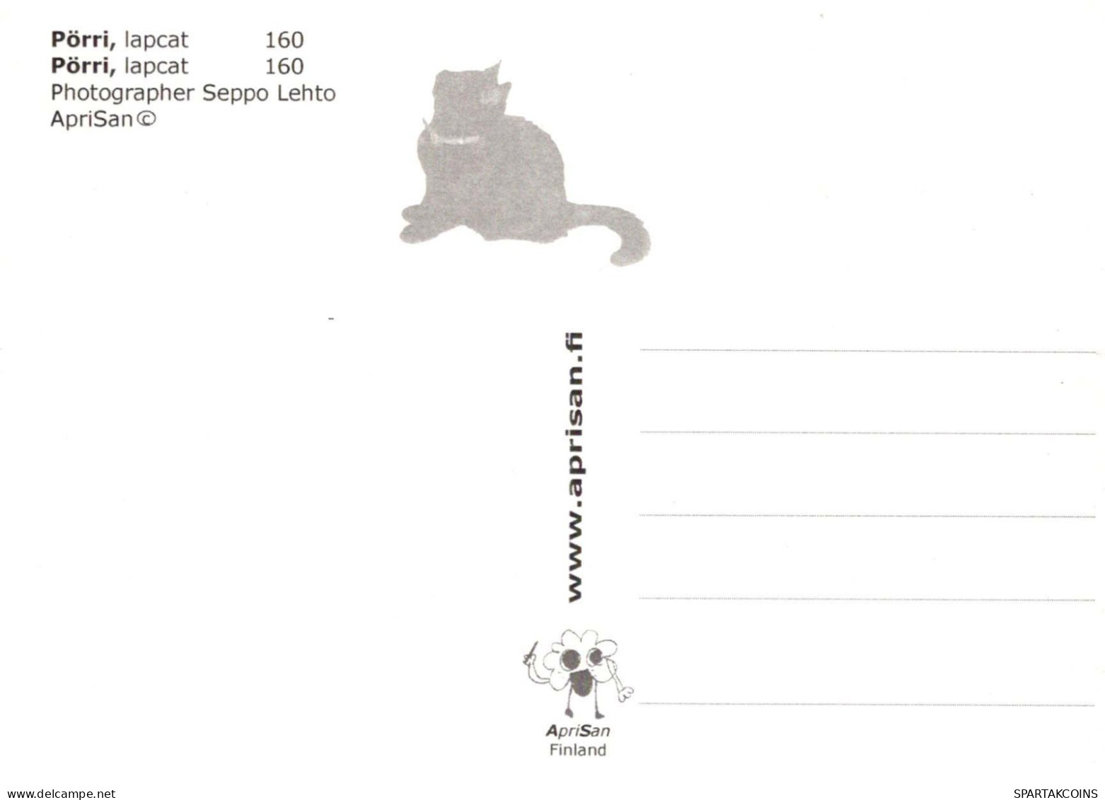 GATTO KITTY Animale Vintage Cartolina CPSM #PBQ835.A - Cats
