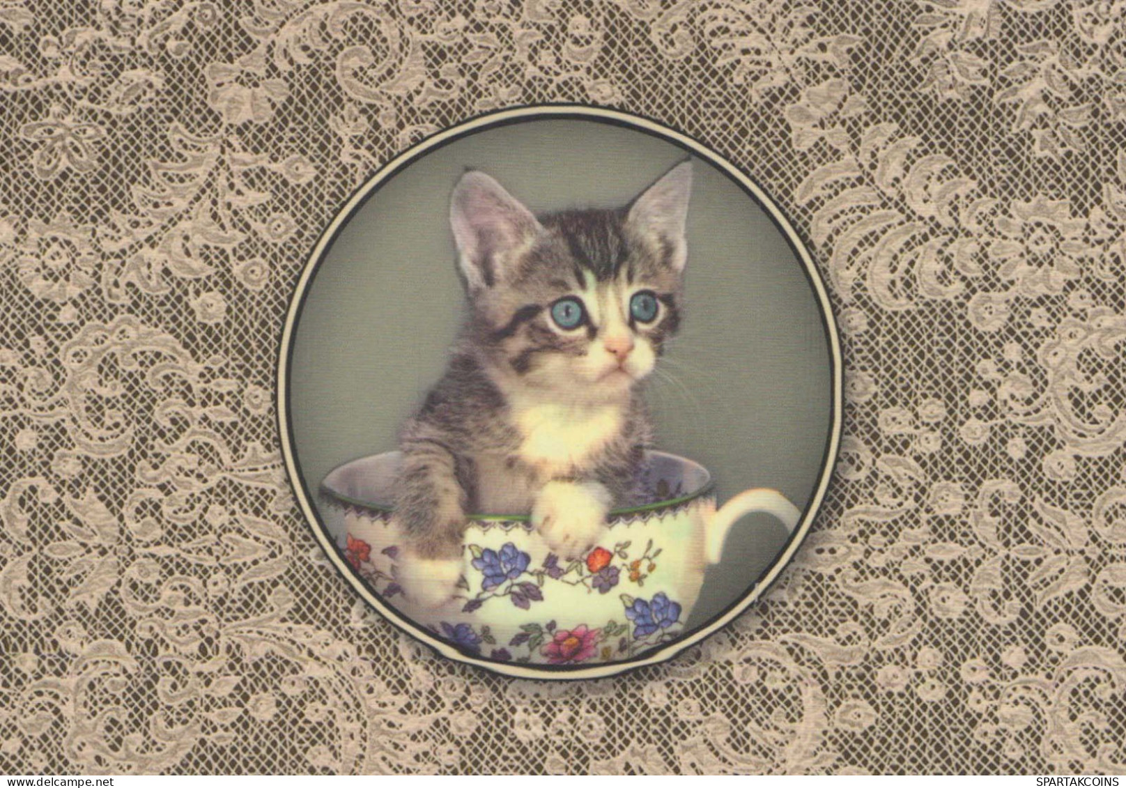 GATO GATITO Animales Vintage Tarjeta Postal CPSM #PBQ749.A - Cats