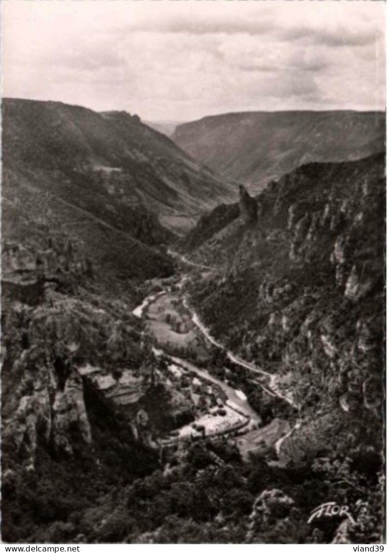 GORGES Du TARN. -  Point Sublime.    Non Circulée.    Photo Véritable - Gorges Du Tarn