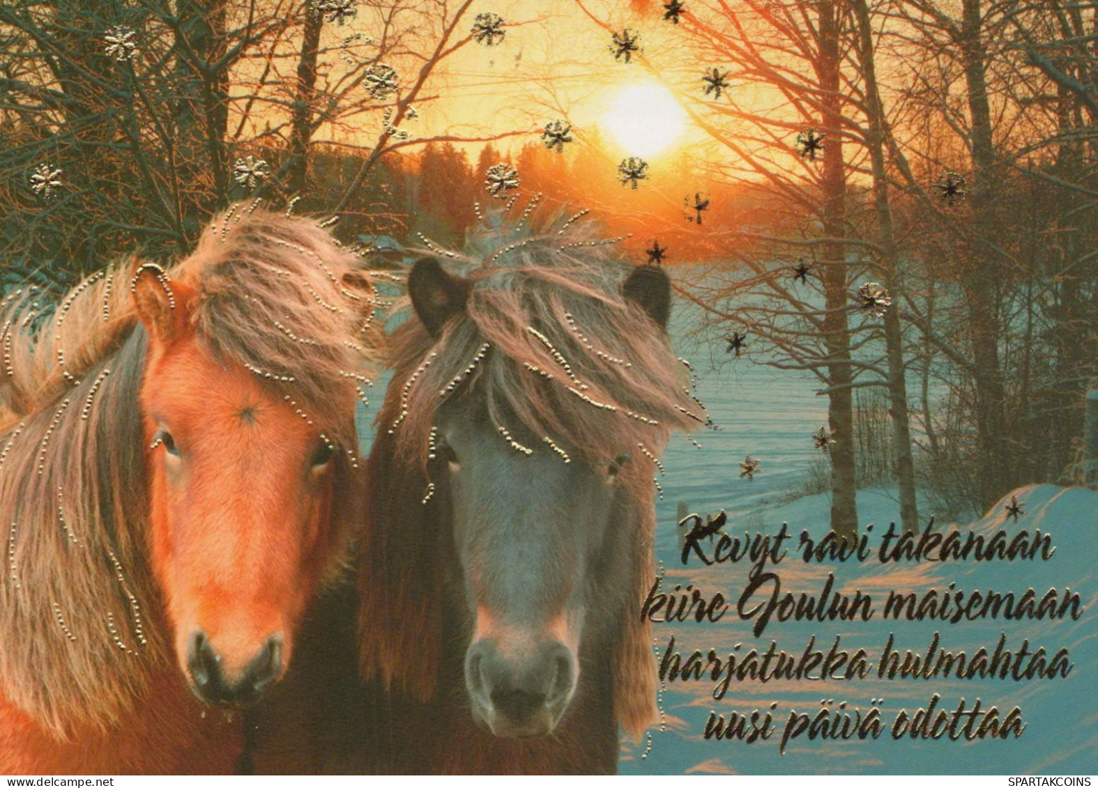 PFERD Tier Vintage Ansichtskarte Postkarte CPSM #PBR913.A - Pferde