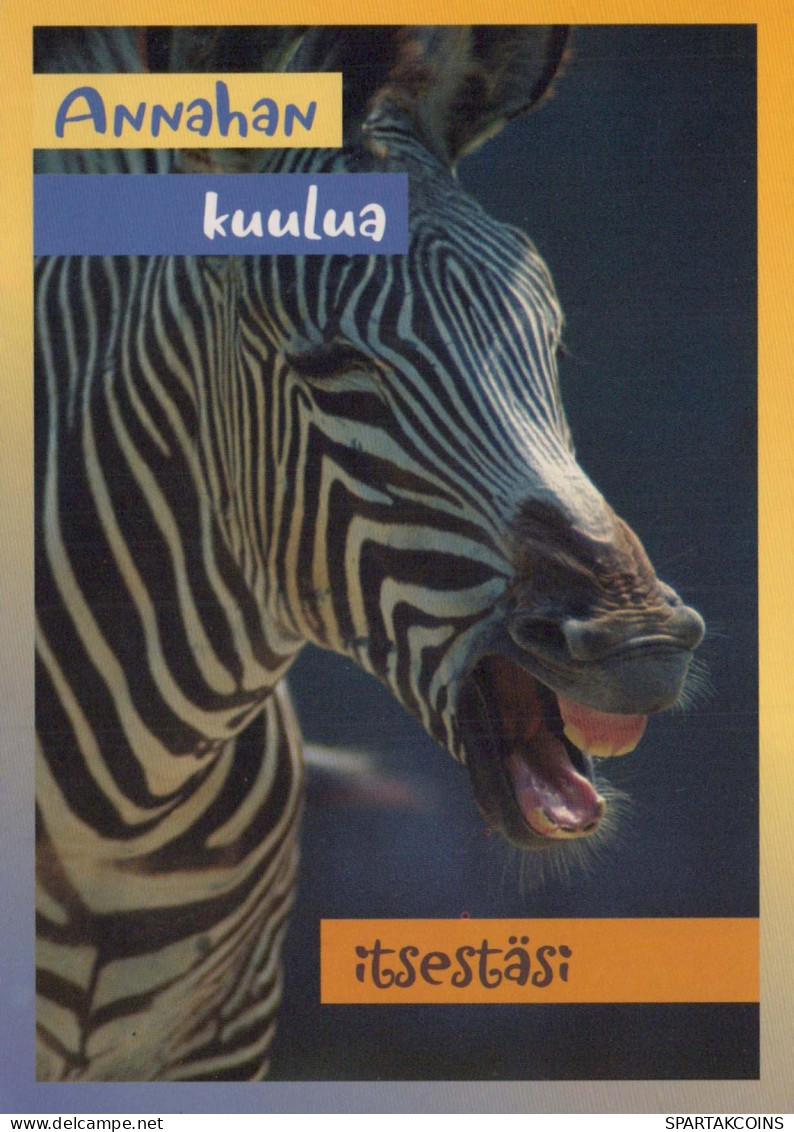 ZEBRA Tier Vintage Ansichtskarte Postkarte CPSM #PBR933.A - Zebra's
