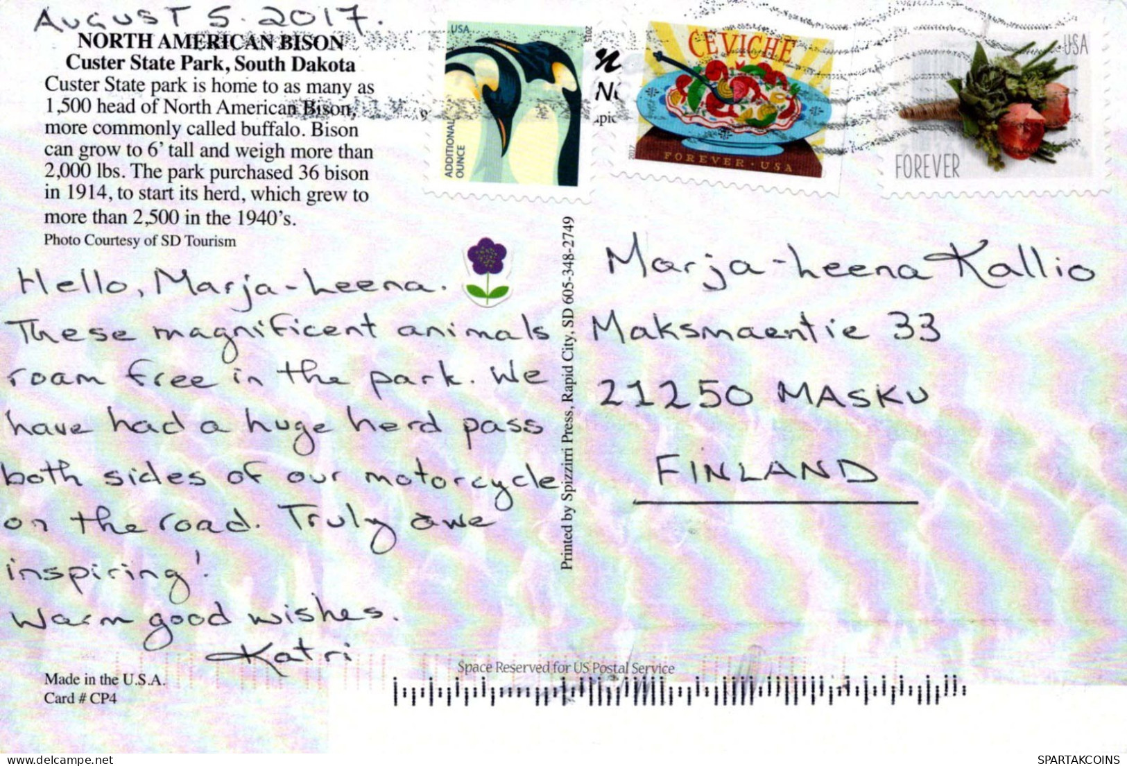 VACA Animales Vintage Tarjeta Postal CPSM #PBR835.A - Vacas