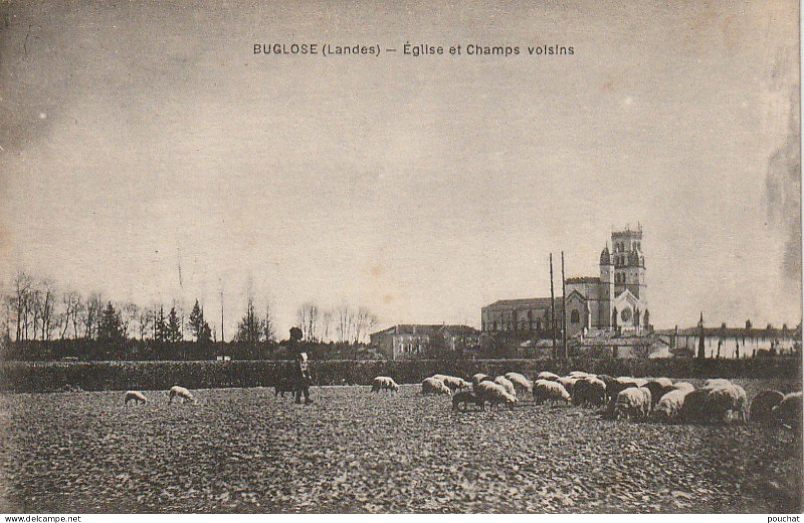 DE 18 -(40) BUGLOSE  -  EGLISE ET CHAMPS VOISINS - TROUPEAU DE MOUTONS  -  2 SCANS - Altri & Non Classificati