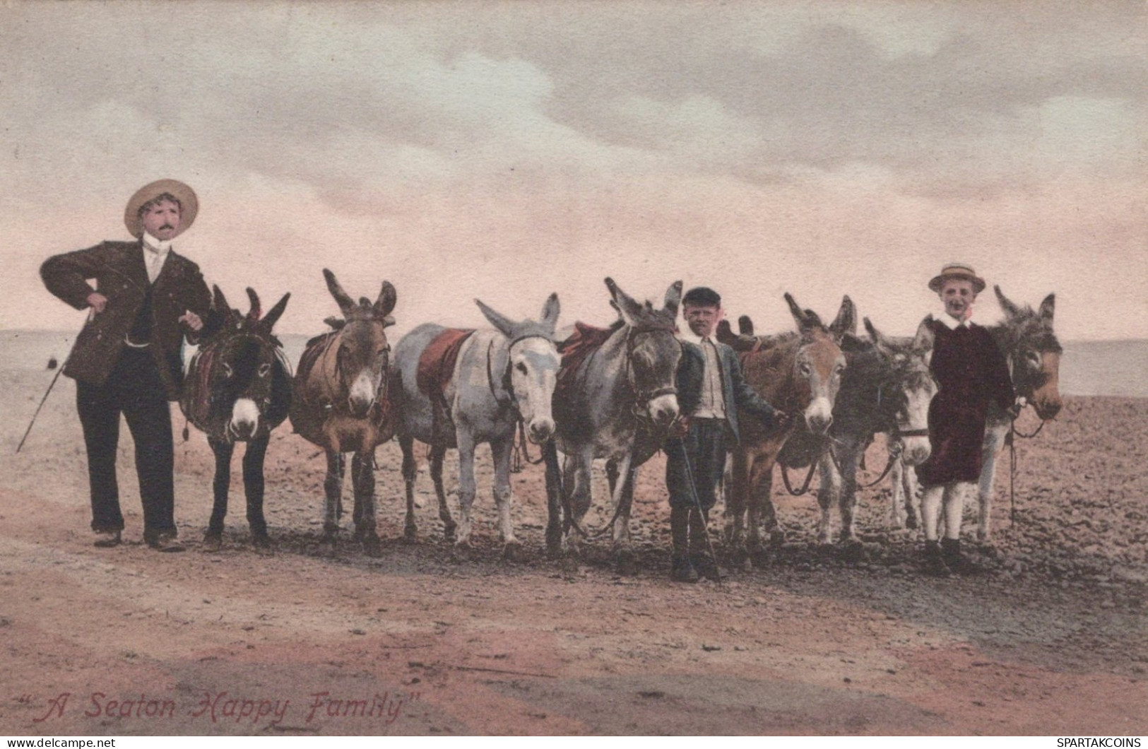 DONKEY Animals Vintage Antique Old CPA Postcard #PAA058.A - Donkeys