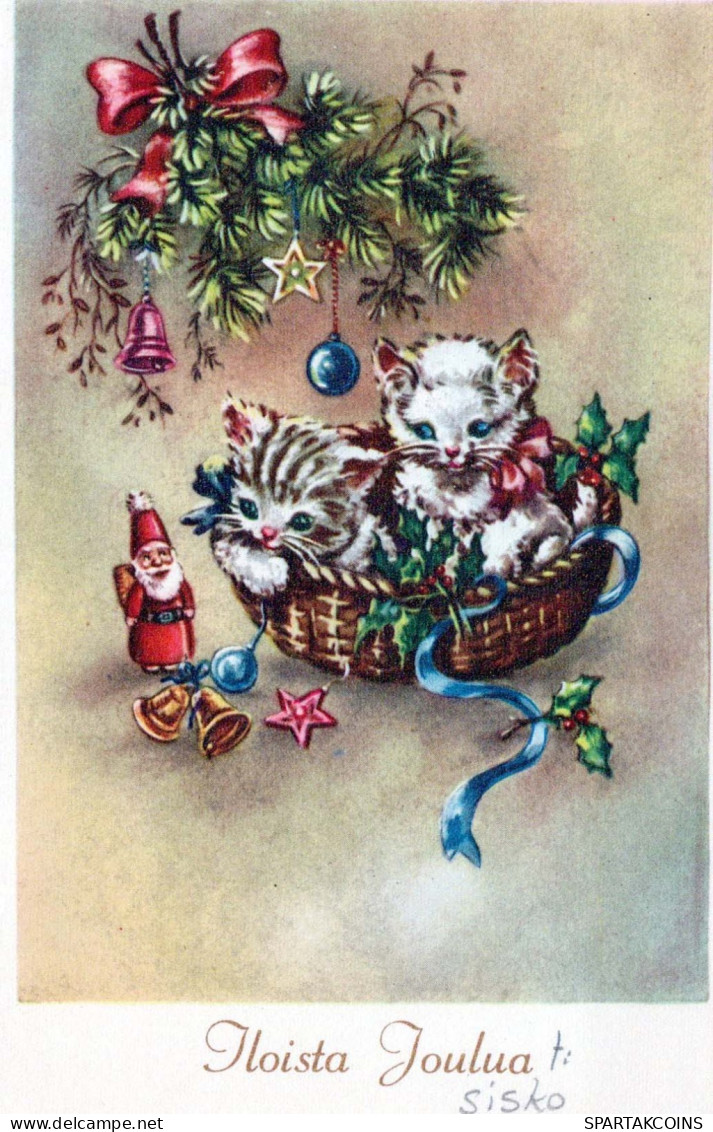 GATTO KITTY Animale Vintage Cartolina CPA #PKE753.A - Katzen