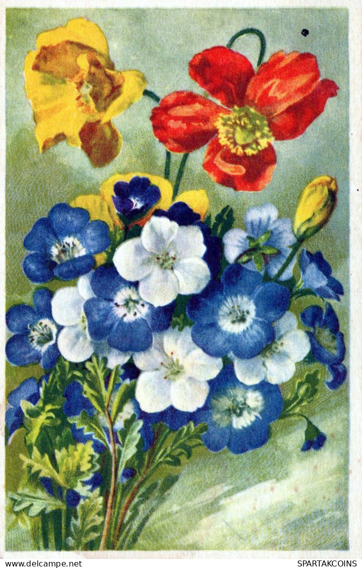 FLOWERS Vintage Ansichtskarte Postkarte CPA #PKE695.A - Flowers