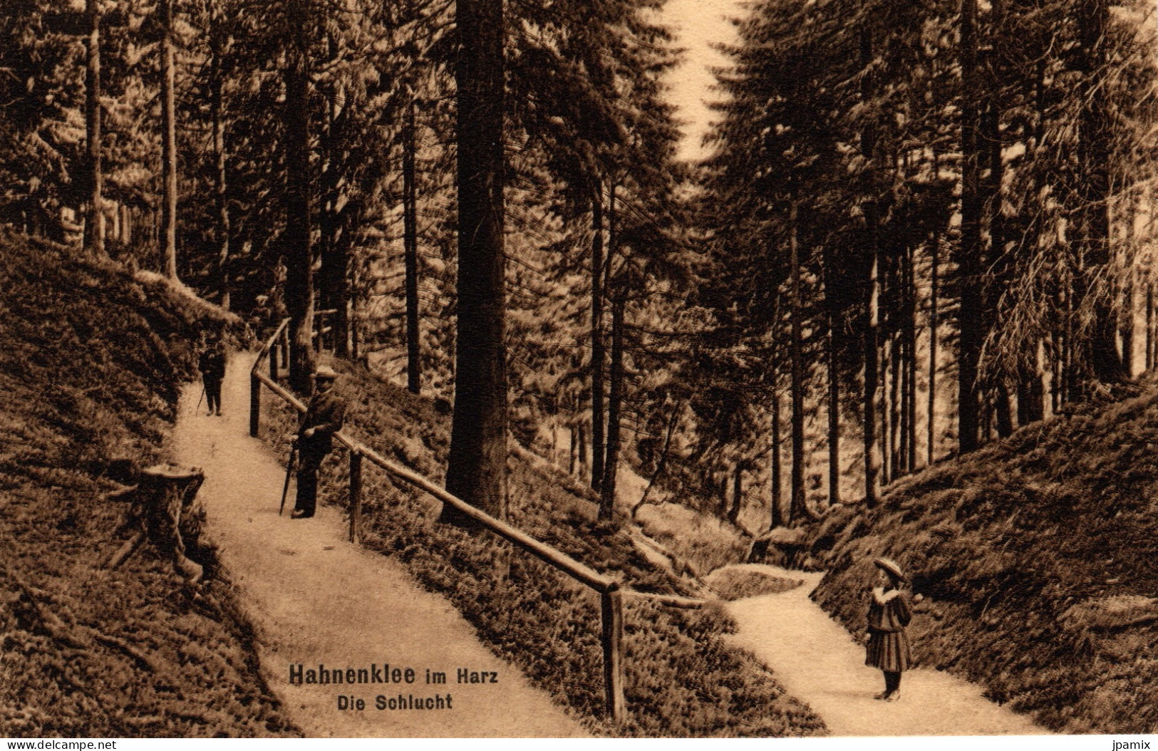 CPA : Allemagne , Hahnenklee Im Harz - Other & Unclassified