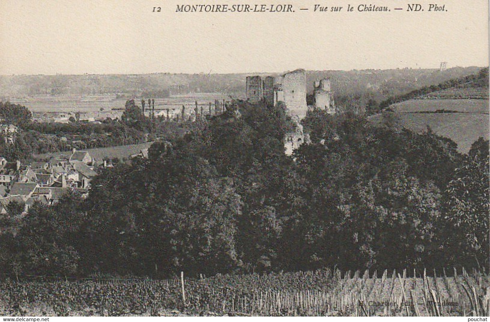 DE 25 -(41) MONTOIRE SUR LE LOIR  -  VUE SUR LE CHATEAU  -  2 SCANS - Montoire-sur-le-Loir